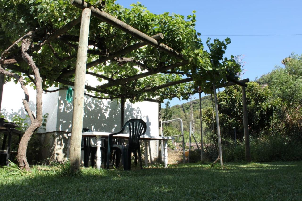 Casa La Maceta Villa Cadiz Exterior photo