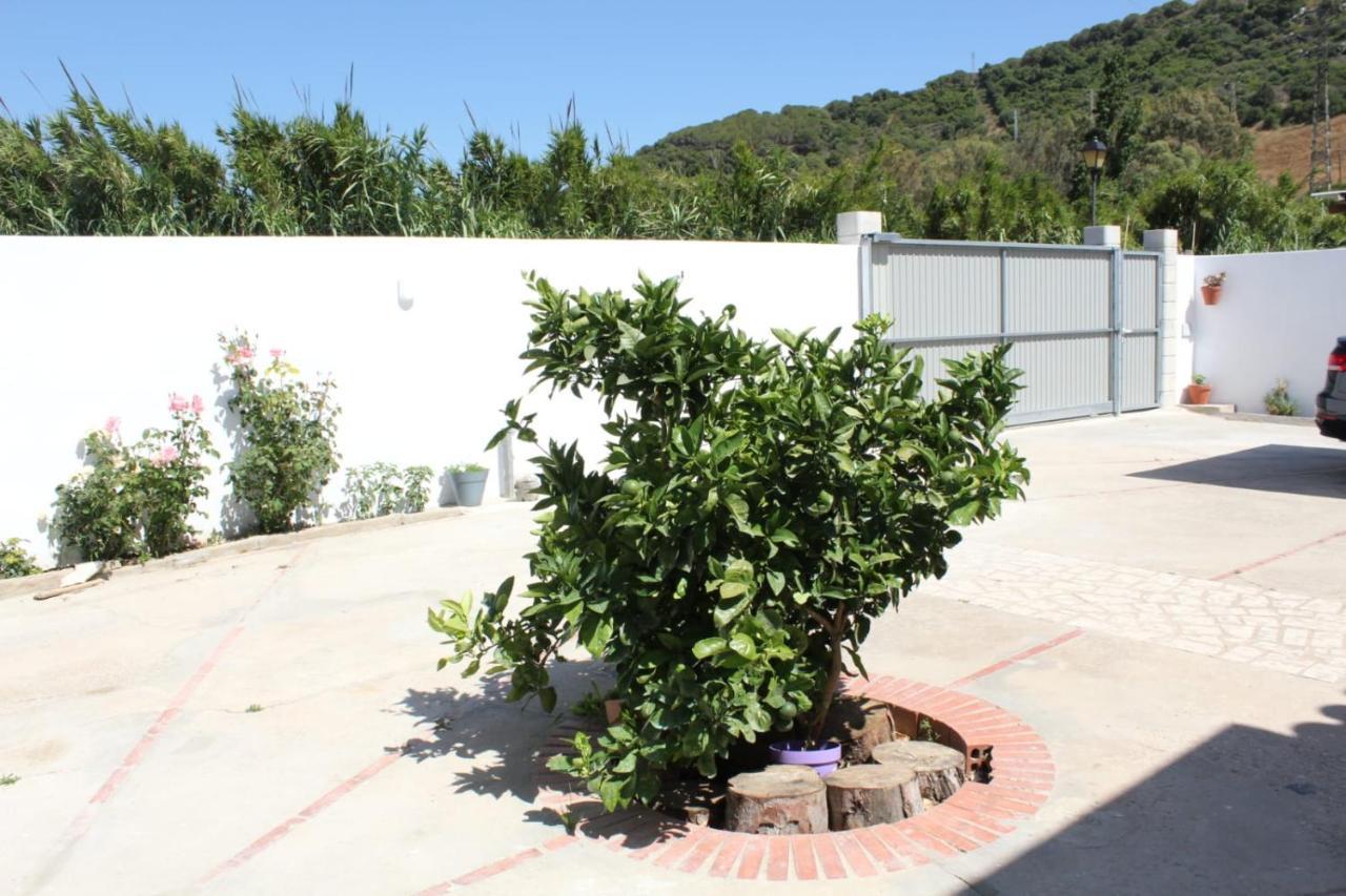 Casa La Maceta Villa Cadiz Exterior photo